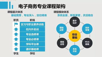 电子商务或市场营销专业