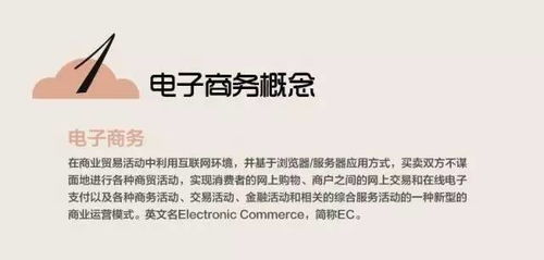 电子商务有什么专业术语