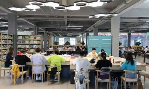 开平区专业电子商务公司
